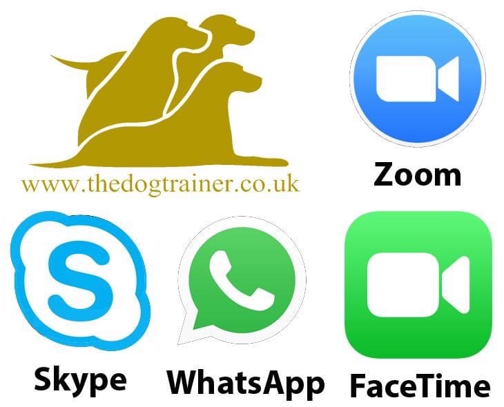 Zoom FaceTime Skype WhatsApp Video Consultations Canine Behaviourist Dog Trainer Bexley Bromley